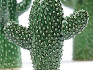 Cactus vaas van Serax